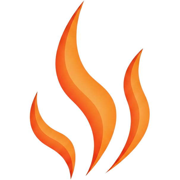 Rise Phoenix Media